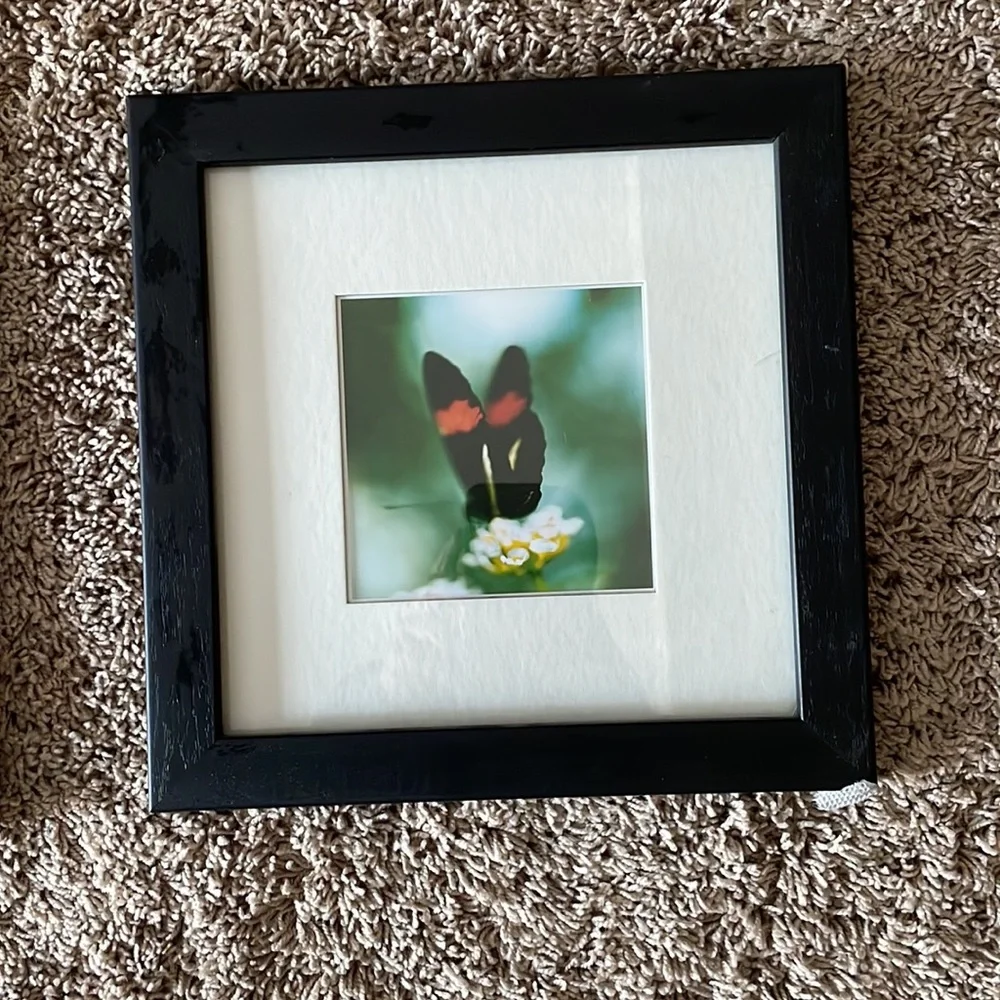 Set of two IKEA framed butterfly prints